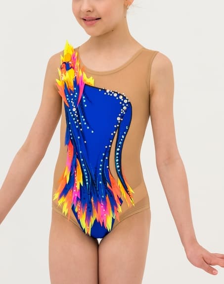 Leotards, Stellar comet, pic 1